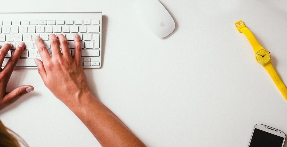 Blog seguros para veterinarios